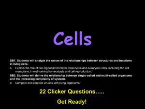 Cell Theory, Structure, and Function