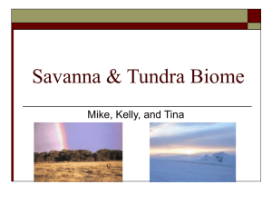 Savanna & Tundra Biome