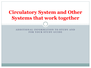 Circulatory System and Other Systems that work together