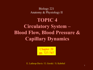 TOPIC 4 Circulatory System – Blood Flow, Blood Pressure
