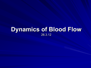 Dynamics of Blood Flow
