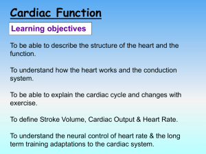 Cardiac Output and Exercise
