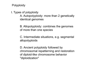 Polyploidy & Hybridization