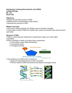 Introduction to Deoxyribose Nucleic Acid (DNA)