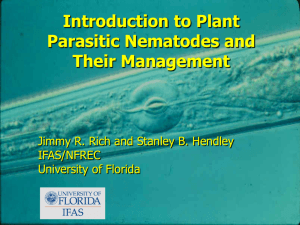 Plant-Parasitic Nematodes