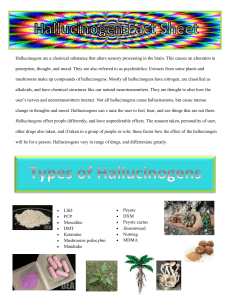 Psychedelic Effects of Hallucinogen Abuse