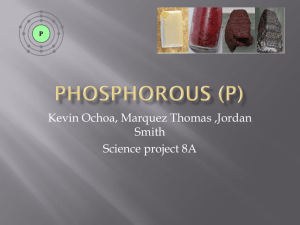 Phosphorous (p) - NDCS 8th Grade Project