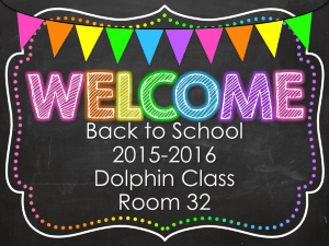 Back-to-School Dolphins 2015