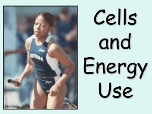 Cells and Energy Use