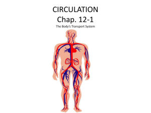 CIRCULATION Chap. 12-1 The Body*s Transport System