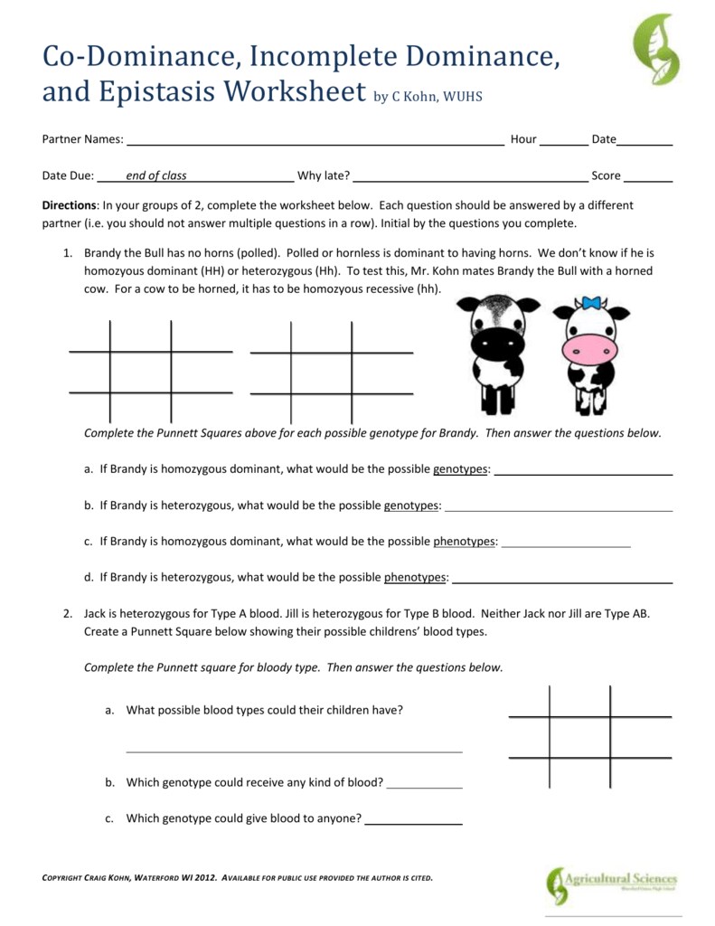 Incomplete Dominance And Codominance Problems Worksheet Answers GriefHope