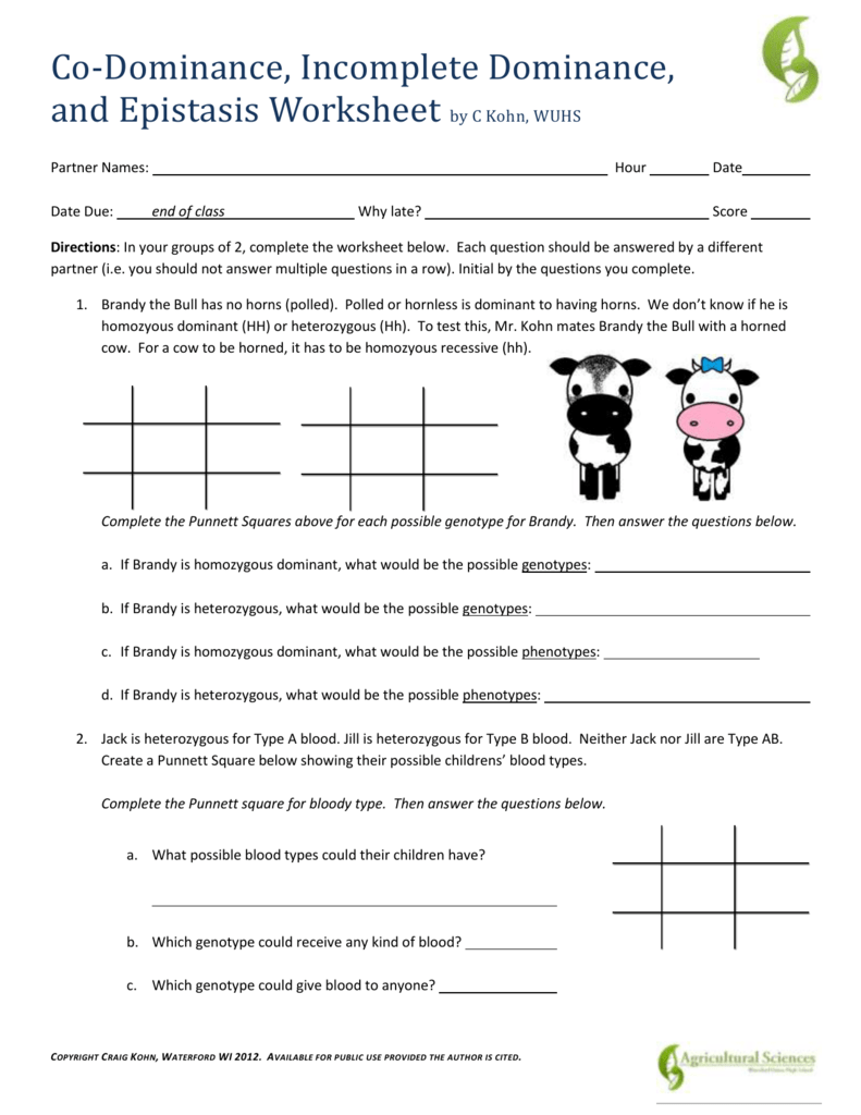 Incomplete Dominance And Codominance Problems Worksheet Answers - GriefHope