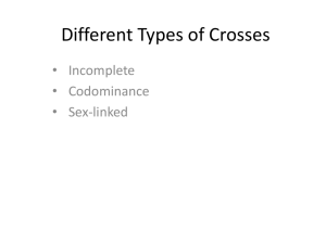 Different Types of Crosses