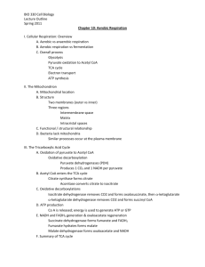 BIO 330 Cell Biology Lecture Outline Spring 2011 Chapter 10