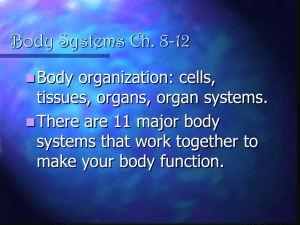 Body Systems Ch. 8-12