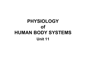 PHYSIOLOGY of HUMAN BODY SYSTEMS