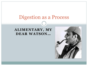 Digestion as a Process