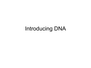 3.3-3.5 Introducing DNA, Structure and Replication, Central Dogma