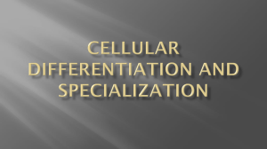 Cellular Differentiation and Specialization