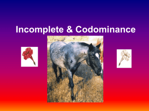 Incomplete & Codominance