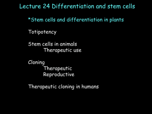 differentiation. - Biology Courses Server