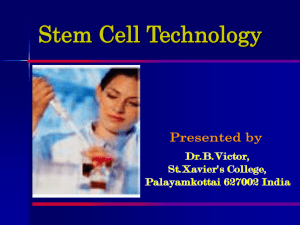 Adult Stem cells