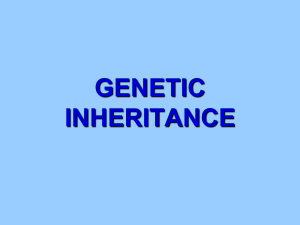 Genetic Inheritance PPT