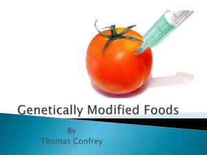 Genetically Modified Foods - Wikispaces