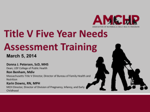 AMCHP NA Webinar march 2014 combined