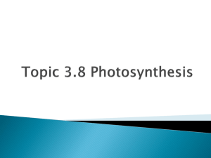 Topic 3.8 Photosynthesis
