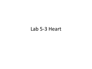 Lab 14 Heart 5
