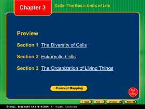 chapter3_Cells - Moore Middle School