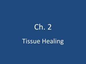 Ch. 2 Tissue Healing