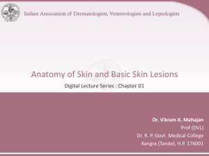 Anatomy of Skin and Basic Skin Lesions