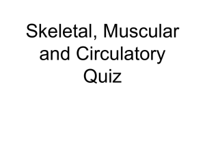 Quiz Review for 2-17