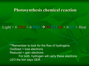 Photosynthesis PPT - Madison County Schools