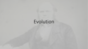 Evolution Notes and PPT