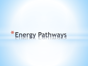 Energy Pathways