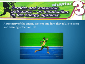Anaerobic and Aerobic Pathways (Energy