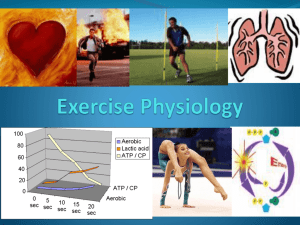 Intro to Exercise Physiology & Energy Systems