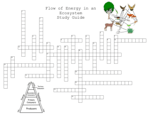 Flow of Energy Study Guide