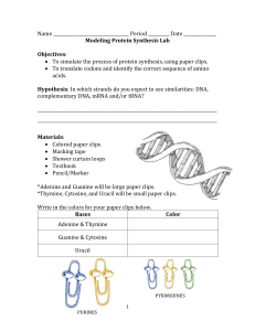 Lab: Protein Synthesis with Paperclips