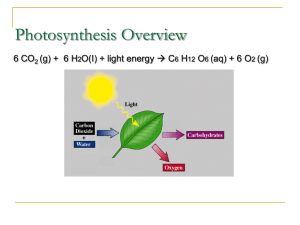 3.1 Introduction to Photosynthesis