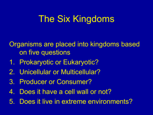Get to know the Kingdoms PPT