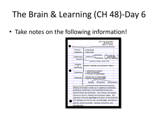 The Brain & Learning (CH 48)