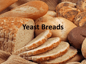 Yeast Breads - Mrs. Masters Classroom