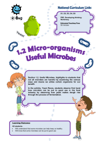 Useful Microbes - e-Bug