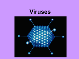 Viruses - Mr. Eeds Biology