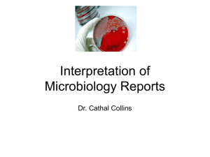Masters Leture Interpretation of Micro Reports