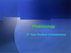 Photobiology